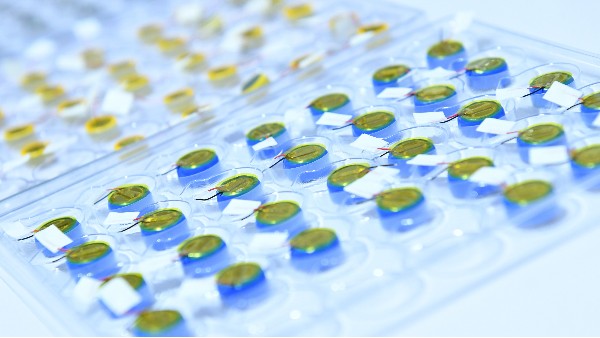 鋰離子紐扣電池